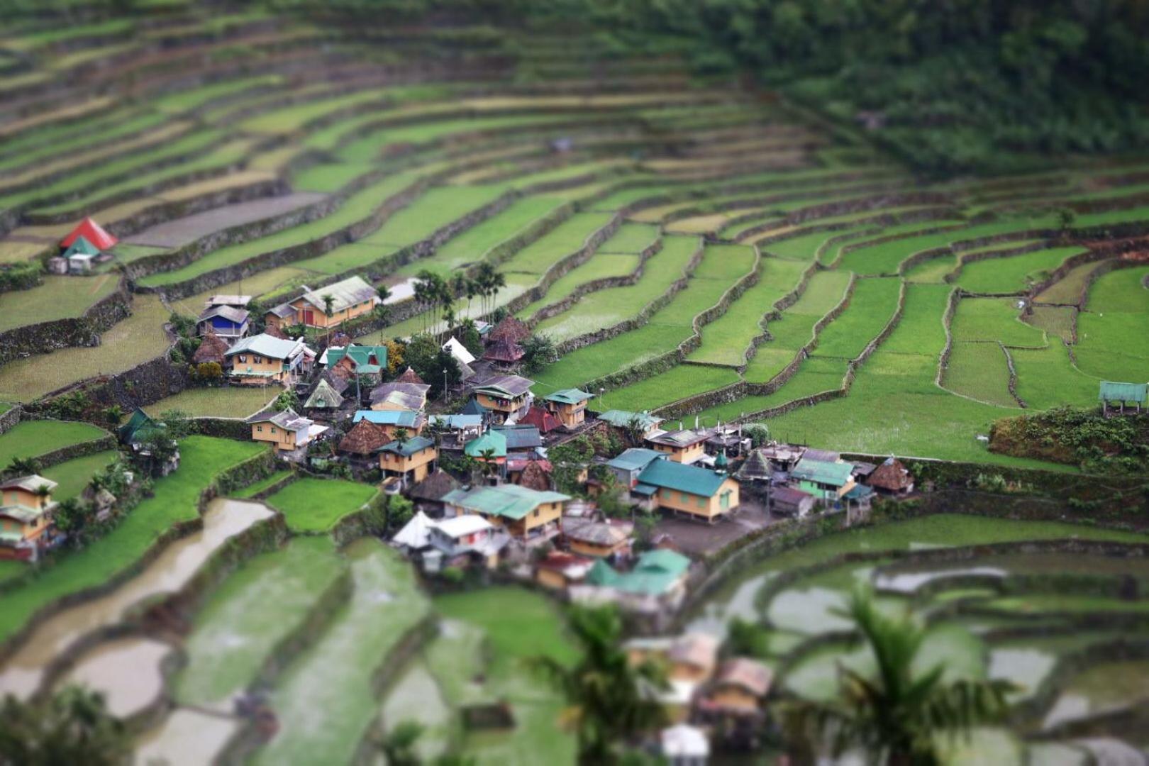 Batad Pension And Restaurant Банаю Экстерьер фото